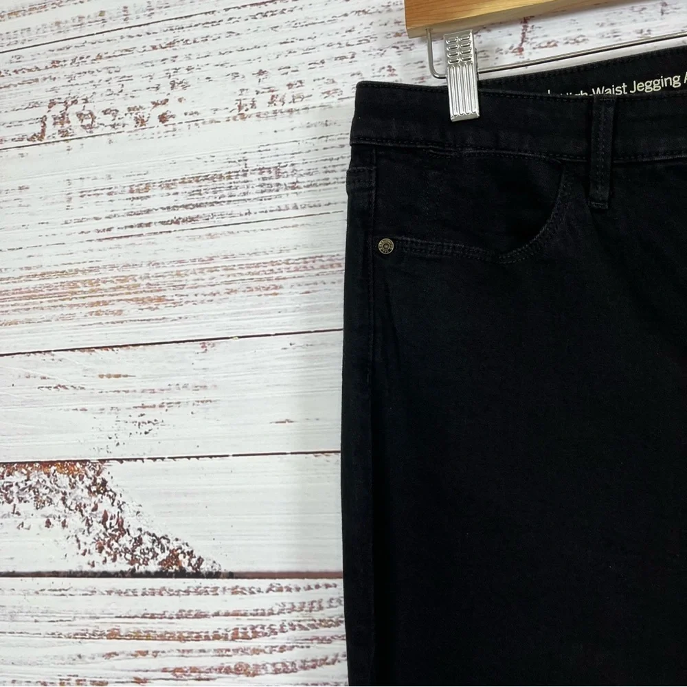 Talbots Black Flawless High Waist Ankle Pants